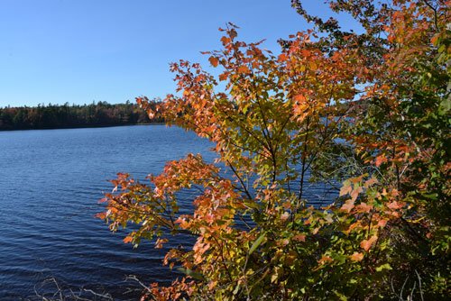 Herbst2016 (13)